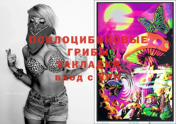 молекула духа Алексеевка