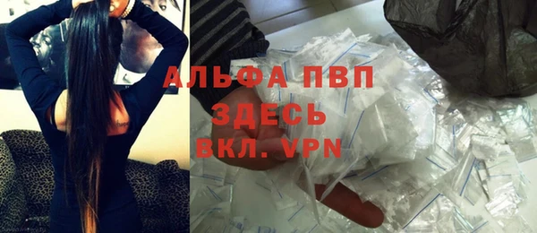молекула духа Алексеевка